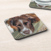 スパニエル犬犬 コースター (左側)