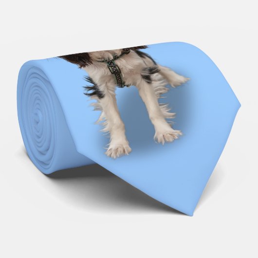 スパニエル犬 ネクタイ (ロール)