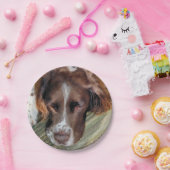 スパニエル犬 ペーパープレート (パーティー)