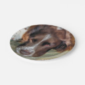 スパニエル犬 ペーパープレート (アングル)