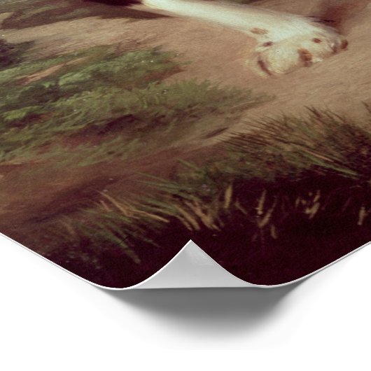 スパニエル犬 ポスター (角)