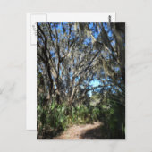 スパニッシュモス トレイル ポストカード (正面/裏面)