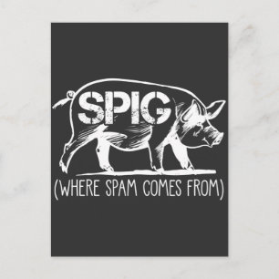 スパムメール従業員Spig Pig Emailのごみフォルダー ポストカード