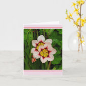 スパラクシスの花 カード (黄色い花)