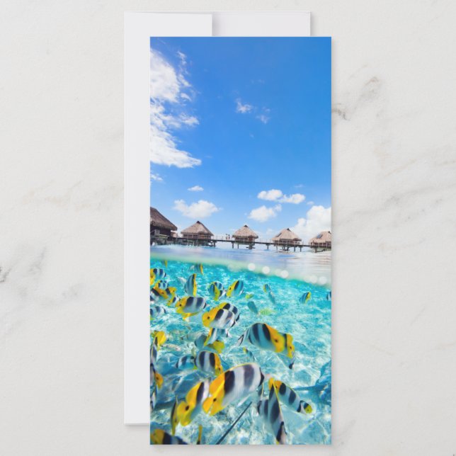 スパリゾート (正面)