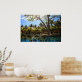 スパリゾート ポスター (キッチン)