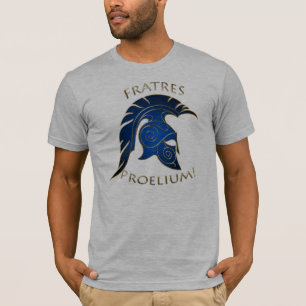 スパルタ式の戦いのトロイのギリシャの戦士の青の金ゴールド Tシャツ
