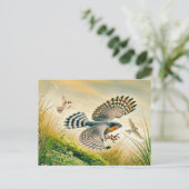 スパルロワク狩りインメドウ シーズンポストカード (スタンド正面)