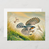 スパルロワク狩りインメドウ シーズンポストカード (正面/裏面)