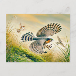 スパルロワク狩りインメドウ シーズンポストカード