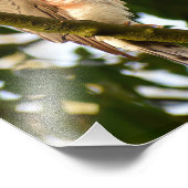 スパルロワーク フォトプリント            (角)