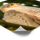 スパルロワーク ポスター (角)