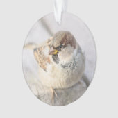 スパロウ島 – 大西洋の向こう オーナメント (正面)