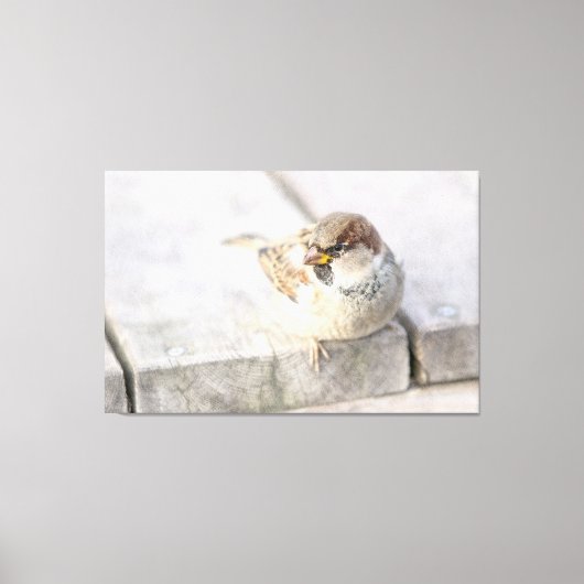 スパロウ島 – 大西洋の向こう キャンバスプリント (正面)