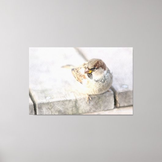 スパロウ島 – 大西洋の向こう キャンバスプリント (正面)