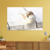 スパロウ島 – 大西洋の向こう キャンバスプリント (インサイチュ (リビング))