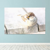 スパロウ島 – 大西洋の向こう キャンバスプリント (インサイチュ (ウッドフロア))