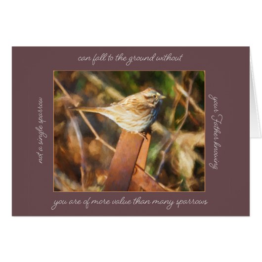 スパロウ秋パラカレオノートカード (正面横)