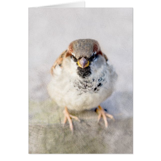 スパロウ – 戦士 (正面)