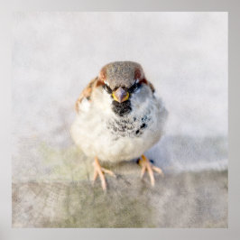 スパロウ – 戦士 ポスター