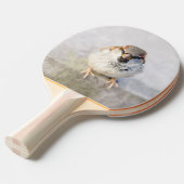 スパロウ – 戦士 卓球ラケット (正面アングル)