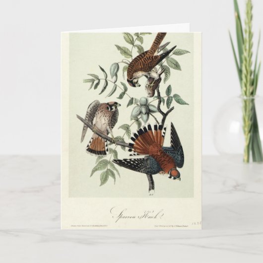 スパロホーク シーズンカード (正面)