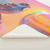 スパローカラフルとレインボーバブル シェルパブランケット (3/4)