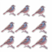 スパローカラフルとレインボーバブル シール (正面)