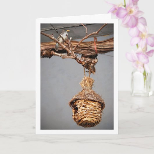 スパローバードアベイバードハウス カード (蘭)