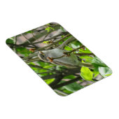 スパロー春ライラック磁石 マグネット (右側)