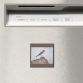 スパロー磁石の目 マグネット (インサイチュ (食洗機))