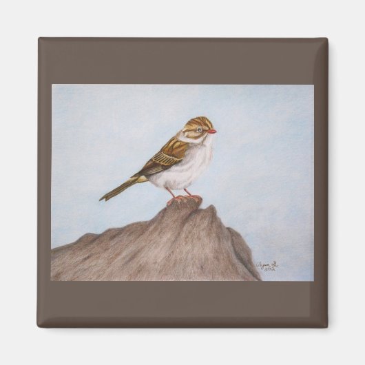 スパロー磁石の目 マグネット (正面)