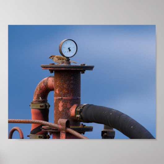 スパロー風圧ポスター ポスター (正面)