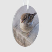 スパロー – オーバーウェイト オーナメント (正面)