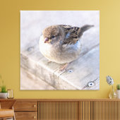 スパロー – オーバーウェイト キャンバスプリント (インサイチュ (リビング))