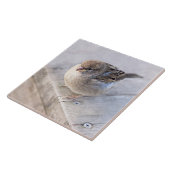 スパロー – オーバーウェイト タイル (側面)