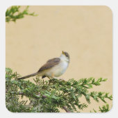 スパロー スクエアシール (正面)