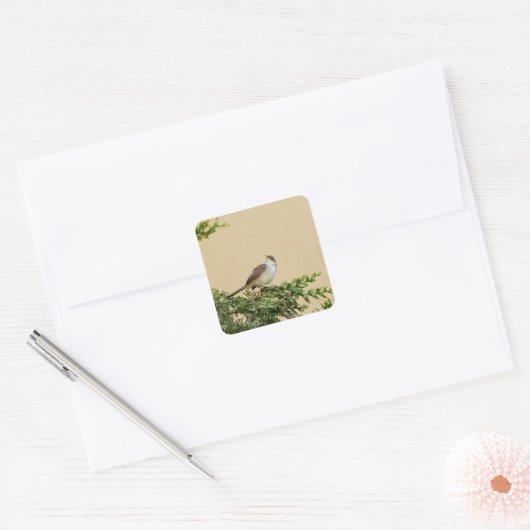 スパロー スクエアシール (封筒)