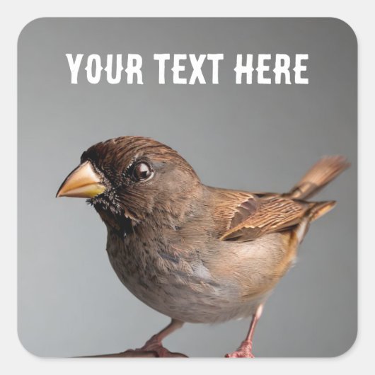 スパロー スクエアシール (正面)