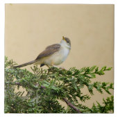 スパロー タイル (正面)