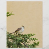 スパロー チラシ (正面)