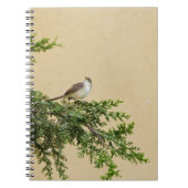 スパロー ノートブック (正面)