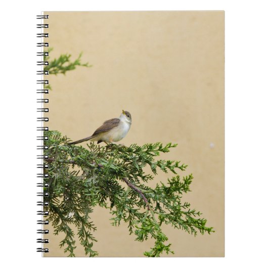 スパロー ノートブック (正面)