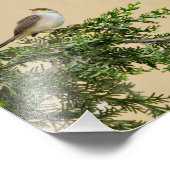 スパロー フォトプリント            (角)