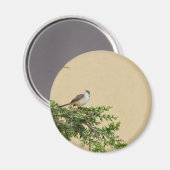 スパロー マグネット (正面/裏面)