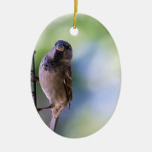 スパロー·モーメント·フォー·マイ