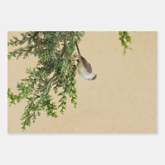 スパロー ラッピングペーパーシート (正面)