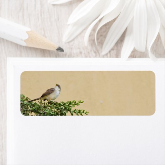 スパロー ラベル (インサイチュ)