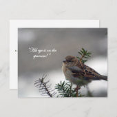 スパロー、彼の目はスパローだ! シーズンカード (正面/裏面)