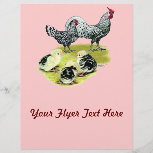 スパングルドハンブルク家 チラシ (正面)